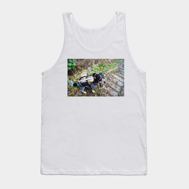 Slb Bleu Tank Top by pcfyi